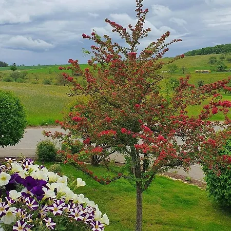Biosphaerenzimmer Bad Urach