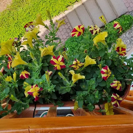 Biosphaerenzimmer Appartamento Bad Urach