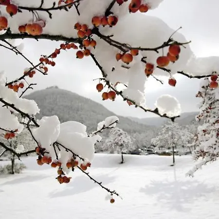 Appartamento Biosphaerenzimmer