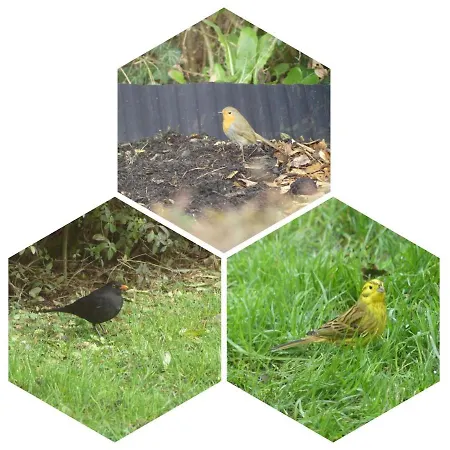 Appartamento Biosphaerenzimmer *